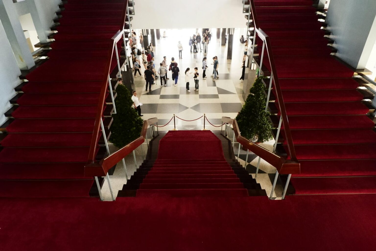 Elegant red carpet setup with velvet ropes and professional photography lights at a formal event