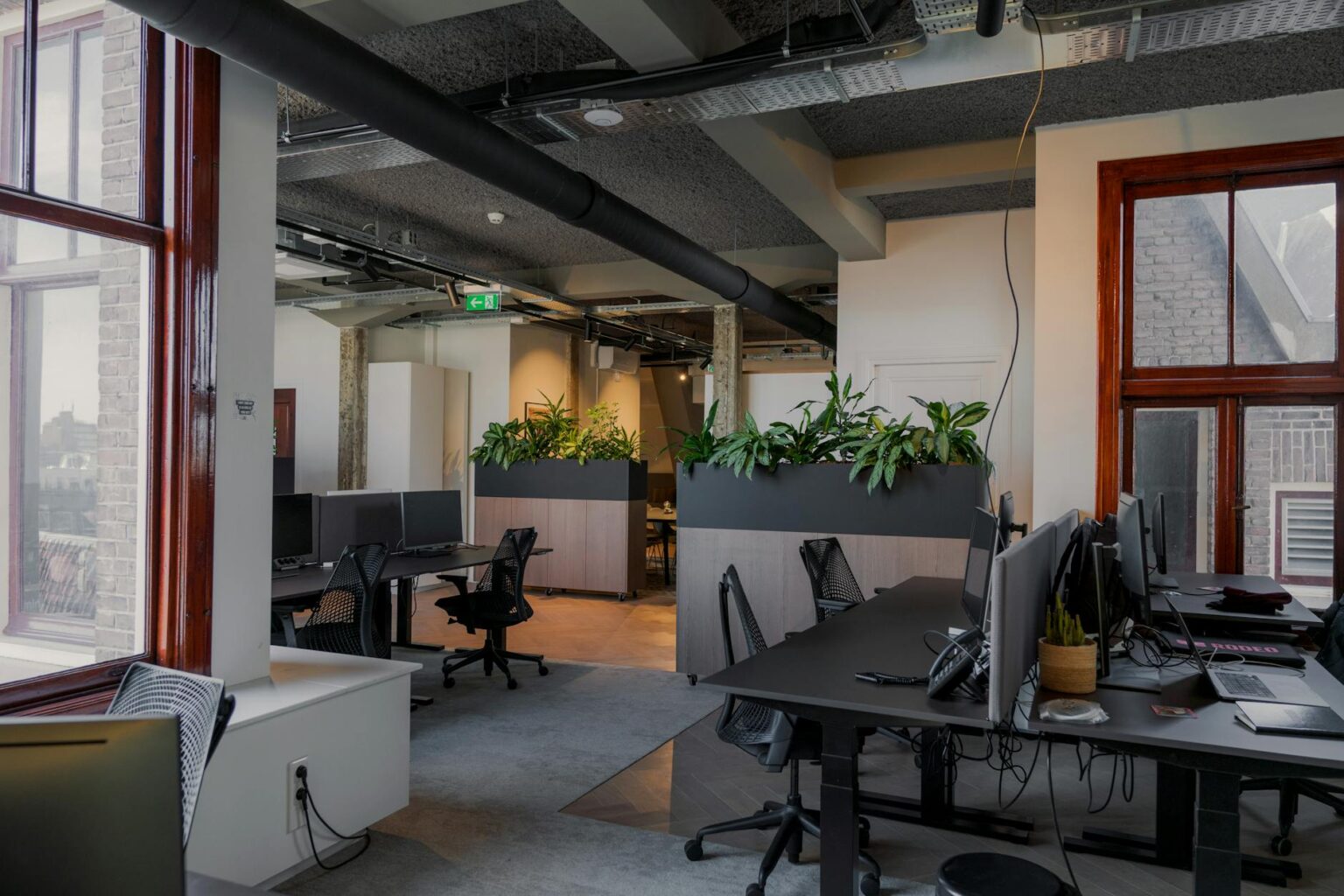 Lush green plants arranged in a modern office space with natural lighting