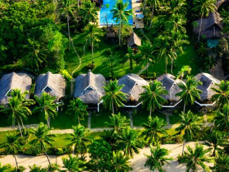 Inside Zac Efron’s Wellness Resort Empire Across Three Continents Luxury tropical wellness resort surrounded by lush rainforest vegetation
