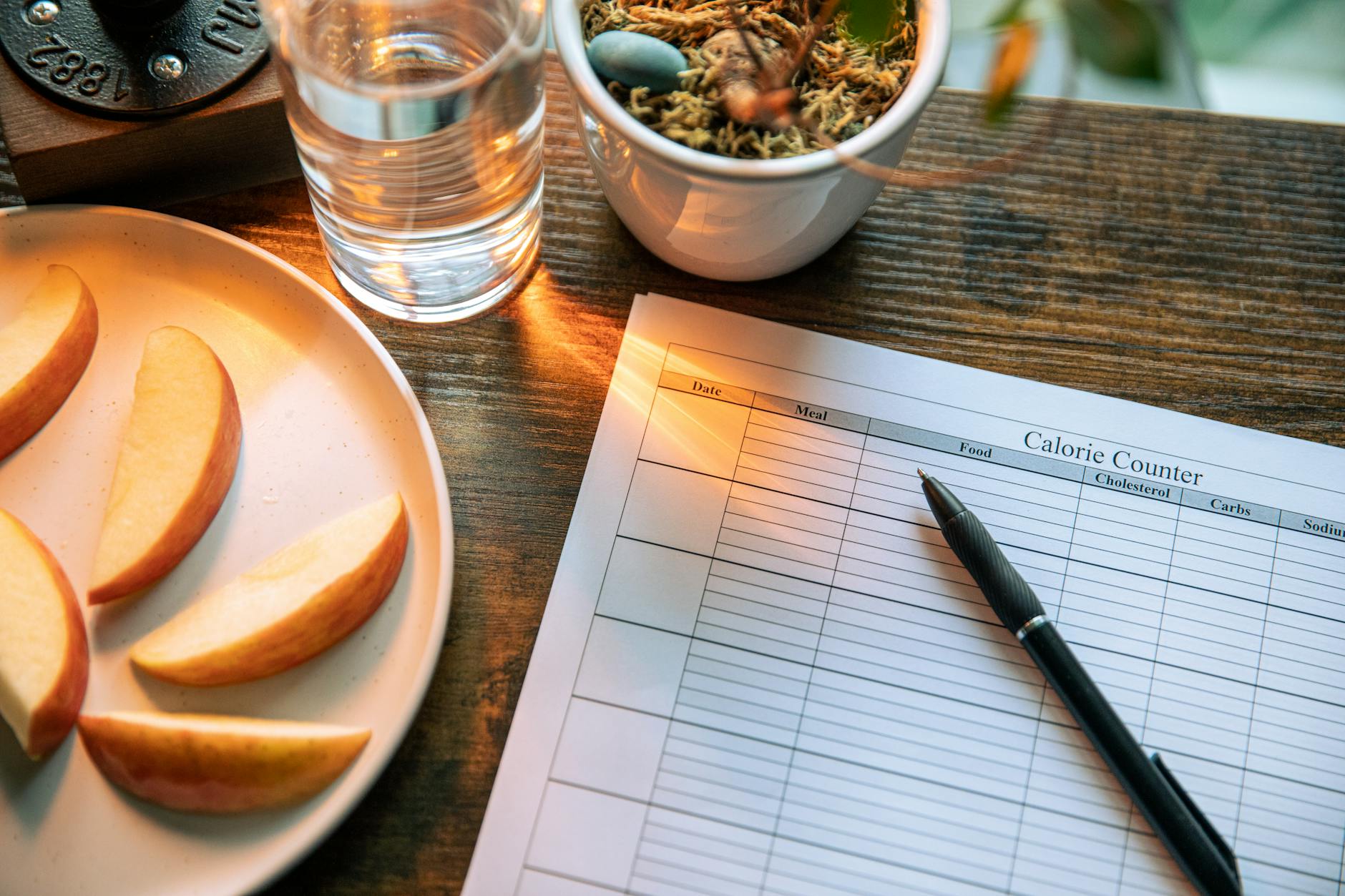 Nutrition planning materials with charts and healthy food ingredients